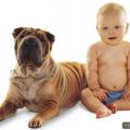 بچه و سگ
